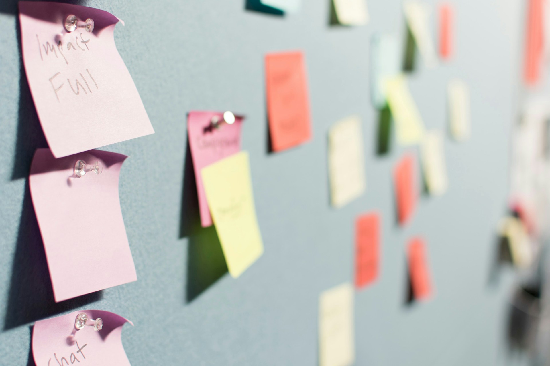 Sticky notes in various colours on a cardboard displayed with a narrow depth of field.